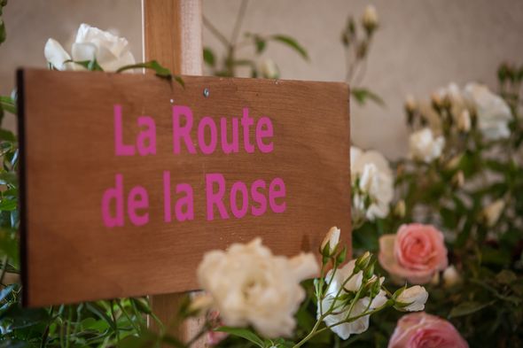 La route de la rose